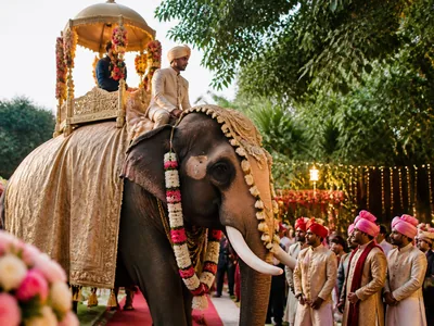 Elephant Entry wedding service visual — Kochi