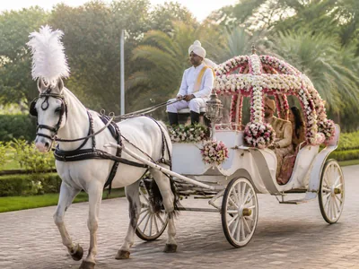 Horse Carriage wedding service visual — Kochi